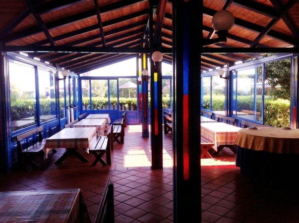 Un'area pranzo coperta con tavoli e panche in legno e ampie finestre.