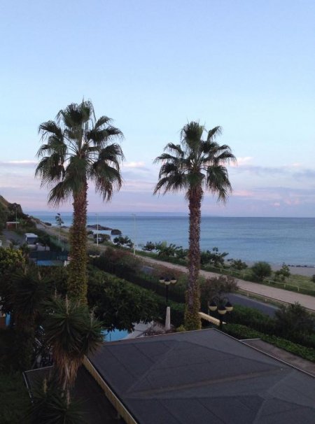 Due palme si stagliano contro il cielo azzurro, con vista su una costa e il mare.