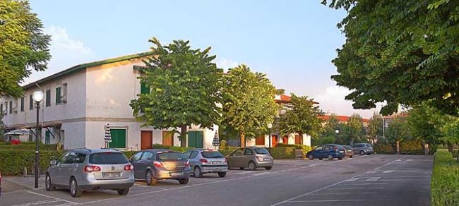 Una strada con auto parcheggiate e alberi.