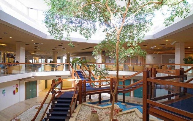 Atrio con albero centrale, scale e passerelle in legno.