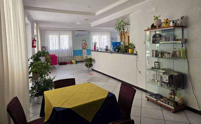 Sala con tavolo apparecchiato, piante e vetrina espositiva vicino a un desk bianco.